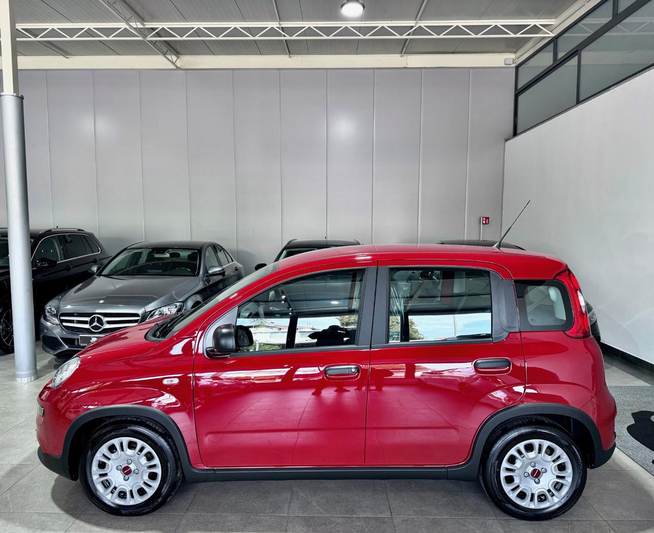 Fiat Panda 1.0 70CV Firefly Hybrid Red