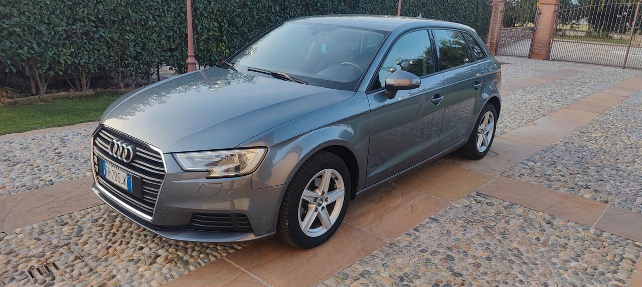 Audi A3 1.6 TDI 116 CV S tronic Business