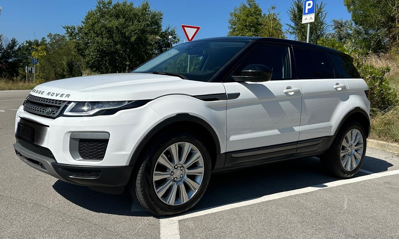 Land Rover Range Rover Evoque Range Rover Evoque 2.0 TD4 150 CV 5p. Business Edition Pure N1 AUTOCARRO