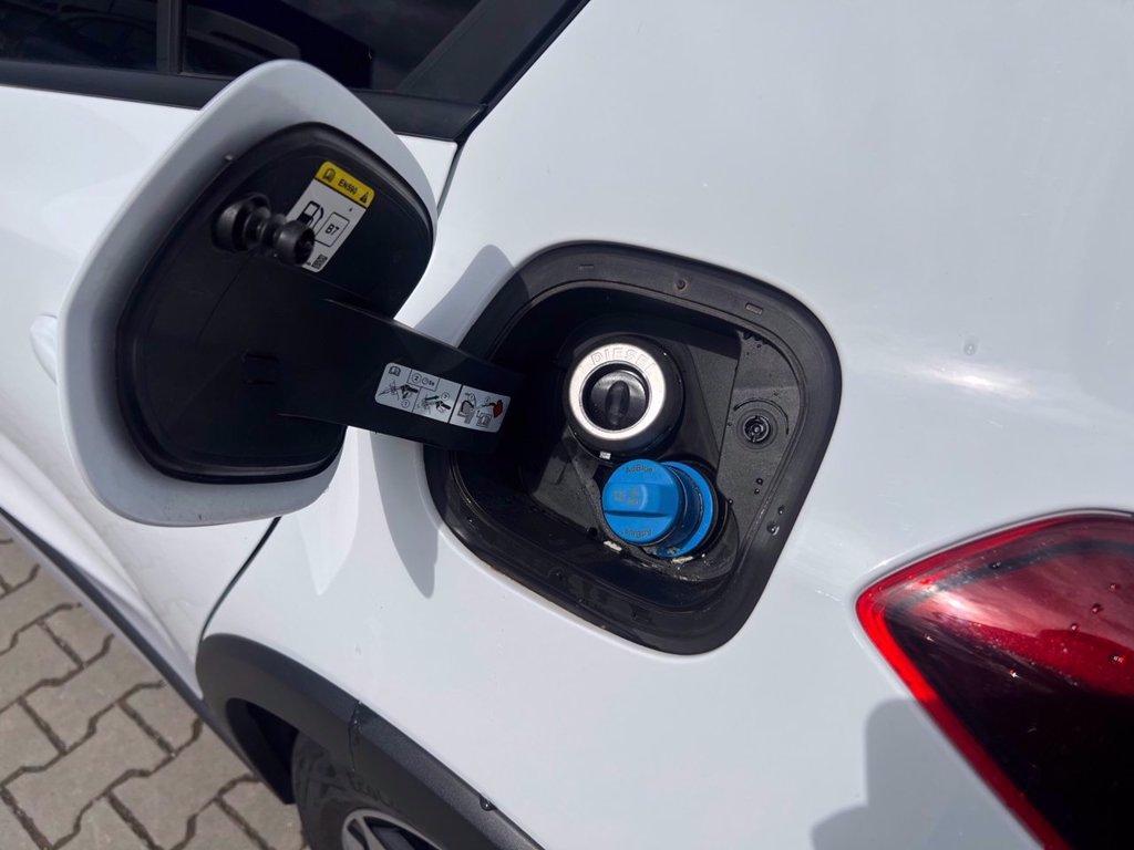FORD Focus 1.5 EcoBlue 115 CV automatico 5p. Active X del 2023