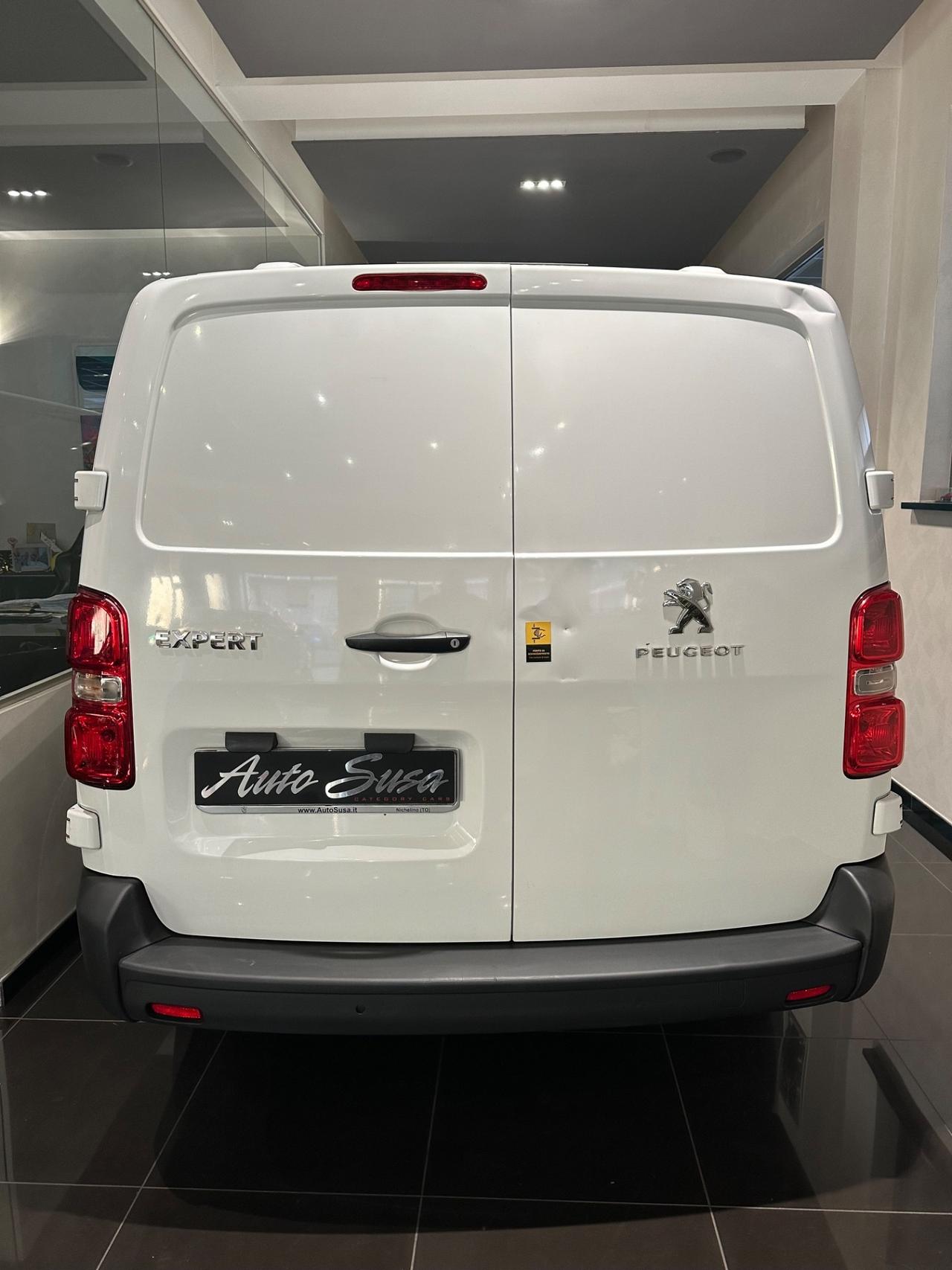 Peugeot Expert BlueHDi 120 PL-SL-TN Furgone Pro Long