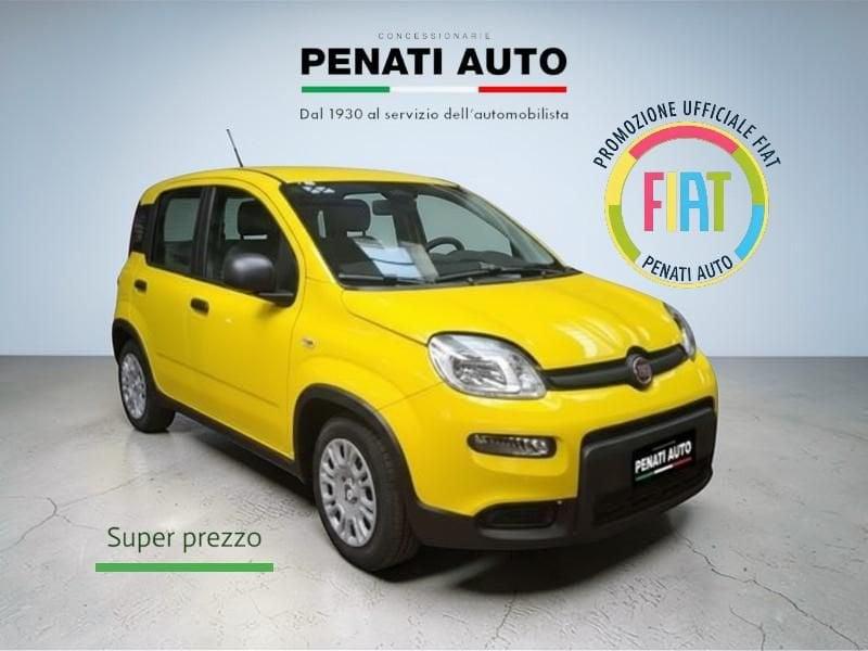 FIAT Panda Panda 1.0 FireFly S&S Hybrid Pop