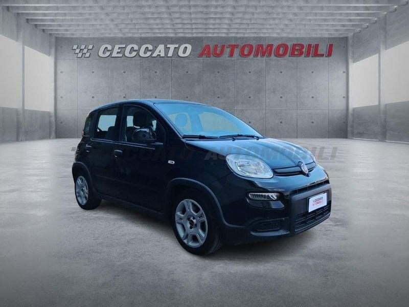 FIAT Panda Panda 1.0 firefly hybrid s&s 70cv 5p.ti