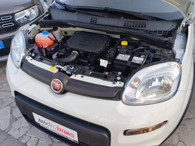 Fiat Panda III FIAT Panda 1.0 firefly hybrid s&s 70cv