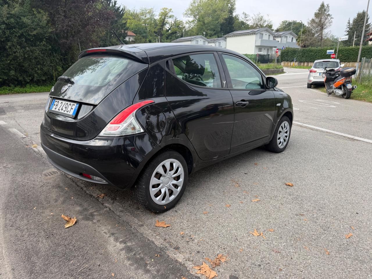 Lancia Ypsilon 1.2 69 CV 5 porte Elle