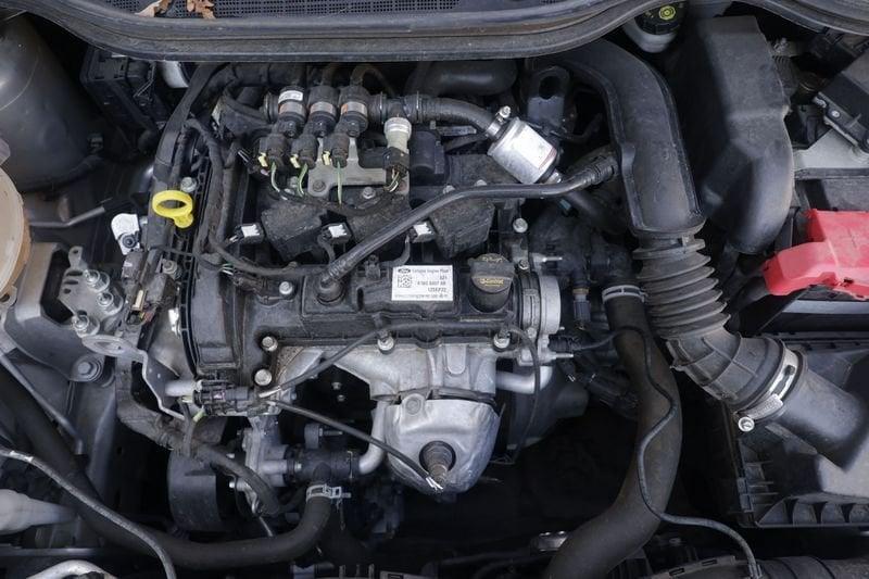 Ford Fiesta Ford Fiesta 1.1 75 CV GPL 5 porte Titanium Unicoproprietario