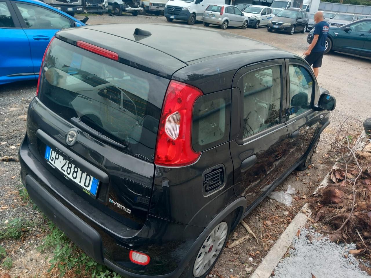 Fiat Panda 1.0 BENZINA IBRIDA ANNO 2025 SINISTRADA PANDINA