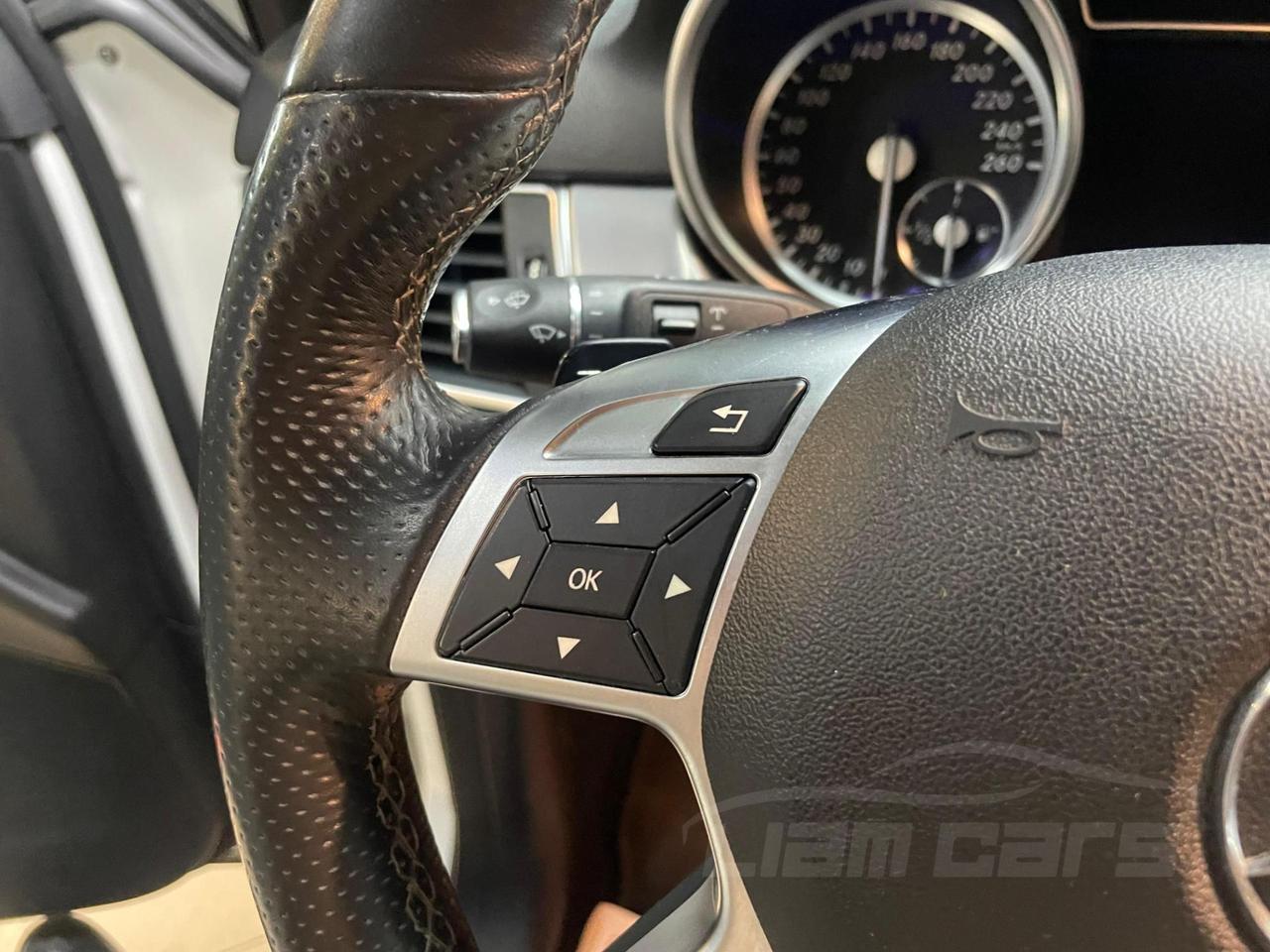 Mercedes ML 250 bt Premium 4matic auto