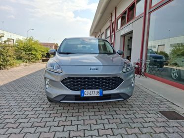 Ford Kuga 1.5 EcoBlue 120 CV aut. 2WD Titanium Business