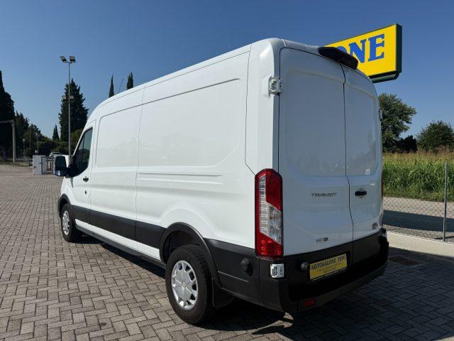 FORD Transit 350 2.0TDCi EcoBlue MHEV 130CV PL-TM Furgone Trail