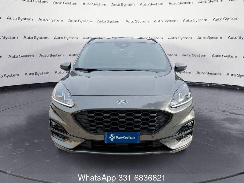 Ford Kuga Kuga 1.5 EcoBlue 120 CV 2WD ST-Line