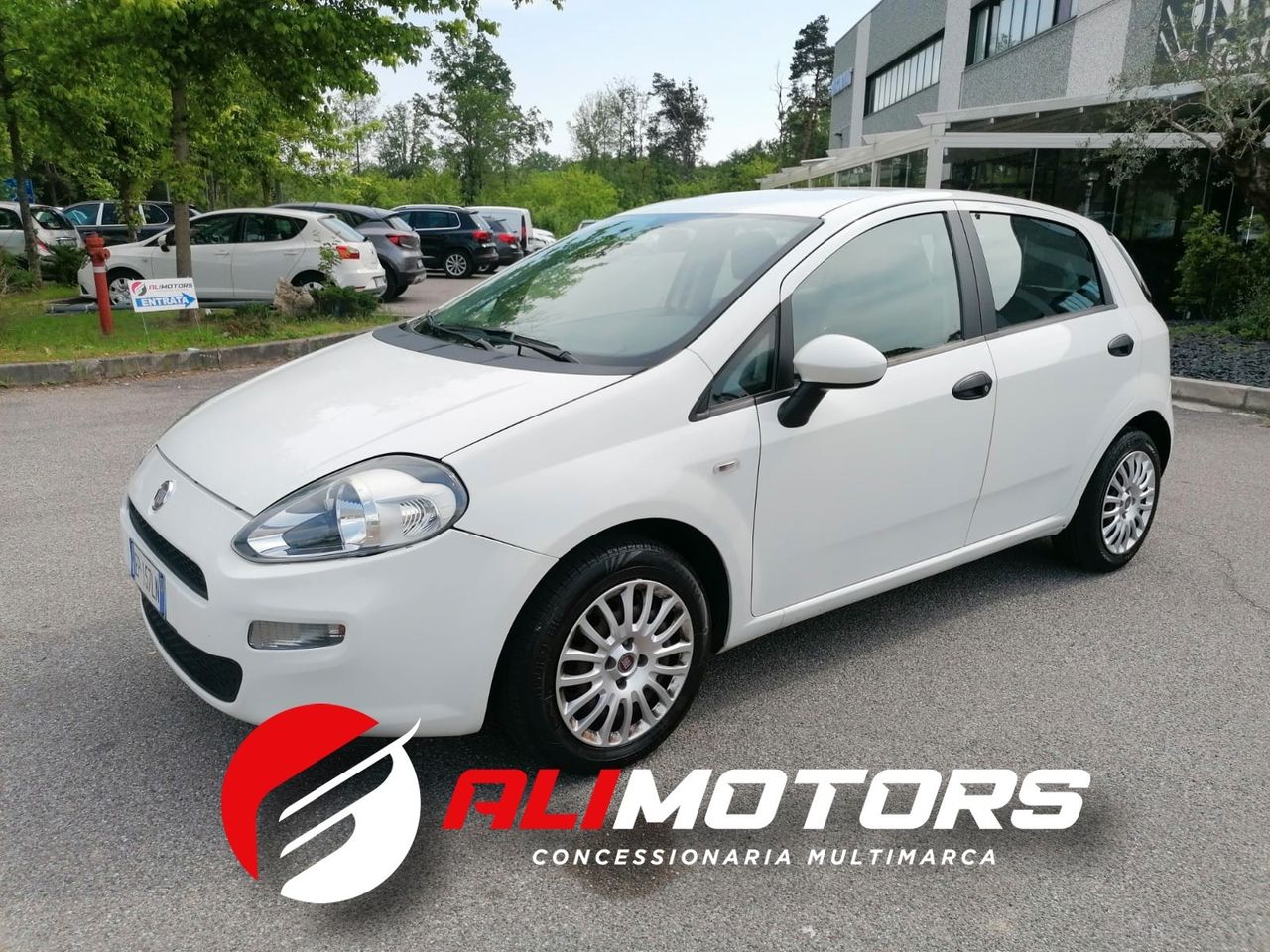 Fiat Punto 1.2 8V 5 porte Pop *Neopatentati*Euro5b*