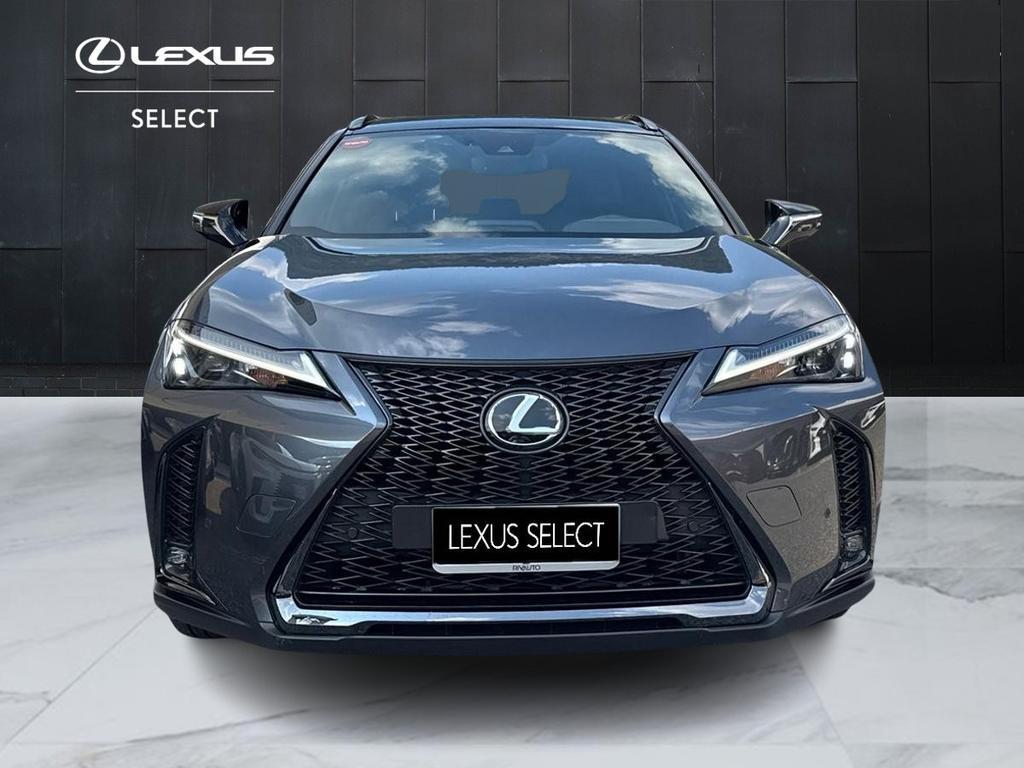 Lexus UX 250h Luxury 2wd cvt