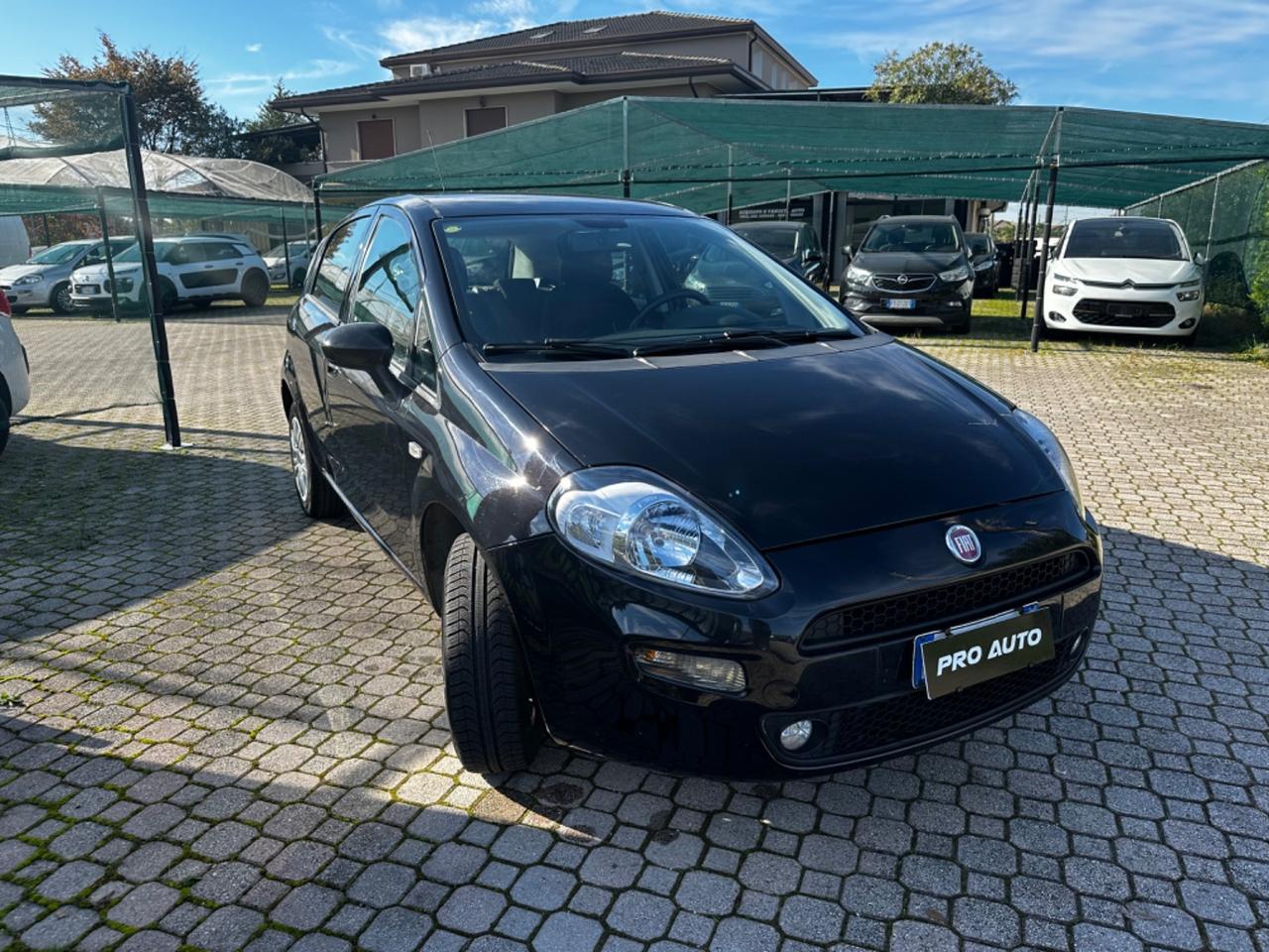 Fiat Punto 1.4 8V 5 porte Natural Power Lounge