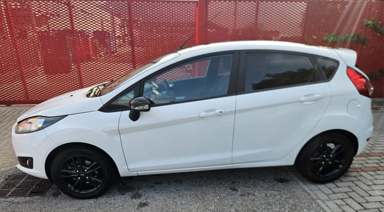 Ford Fiesta 1.0 80CV 5 porte Black & White Edition