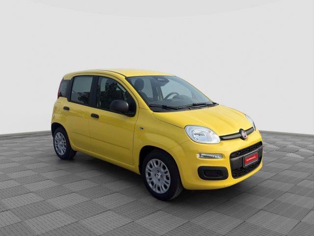 FIAT Panda Pandina 1.0 FireFly 65 CV Hybrid Pop