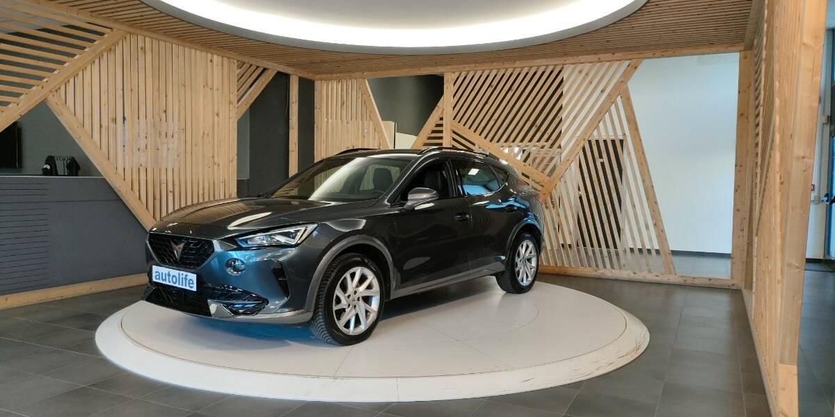 Cupra formentor 2.0 tdi 4drive 150cv dsg