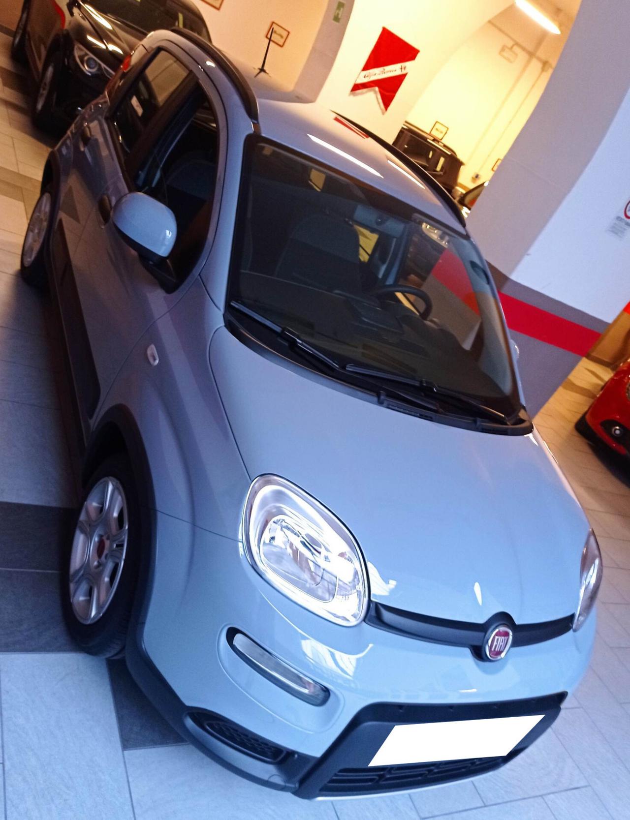 Fiat Panda 1.0 FireFly S&S Hybrid