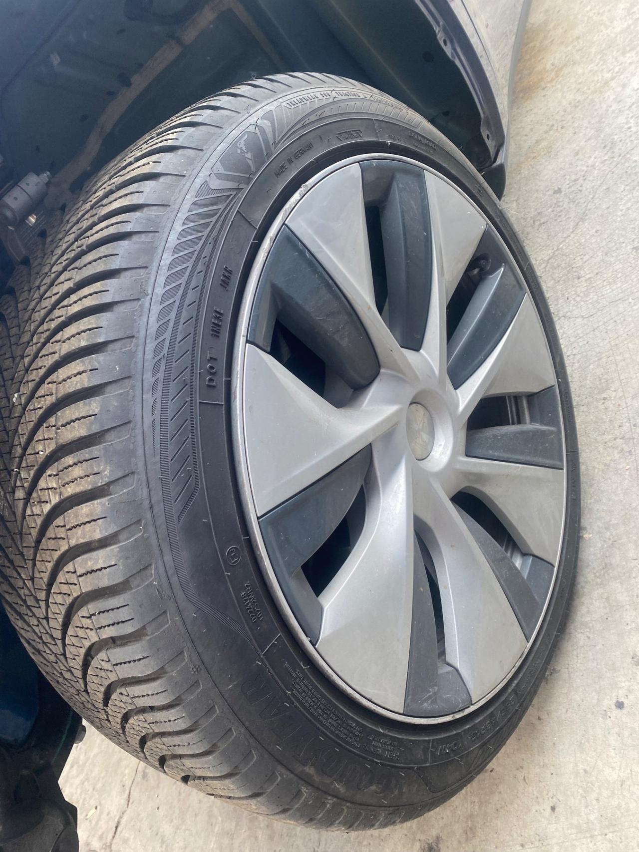 Tesla Model Y RWD