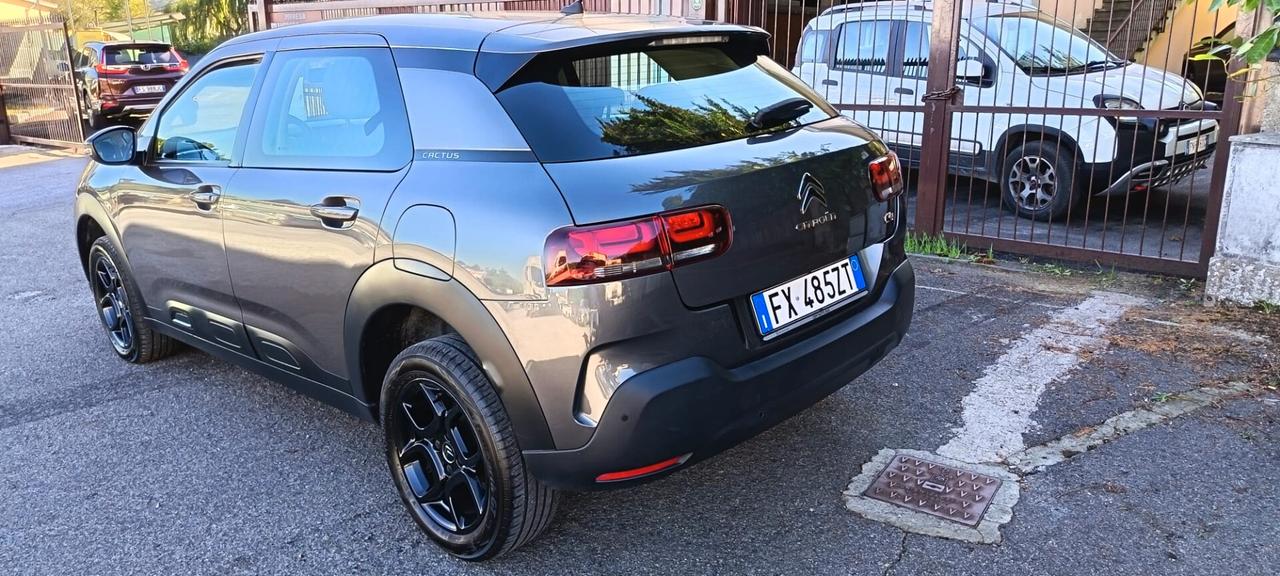 Citroen C4 Cactus BlueHDi 100 S&S Feel