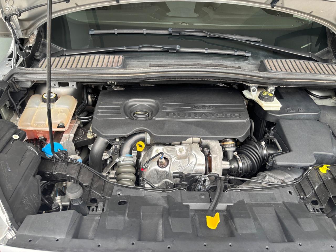 Ford C-Max 1.5 TDCi 120CV Start&Stop Business
