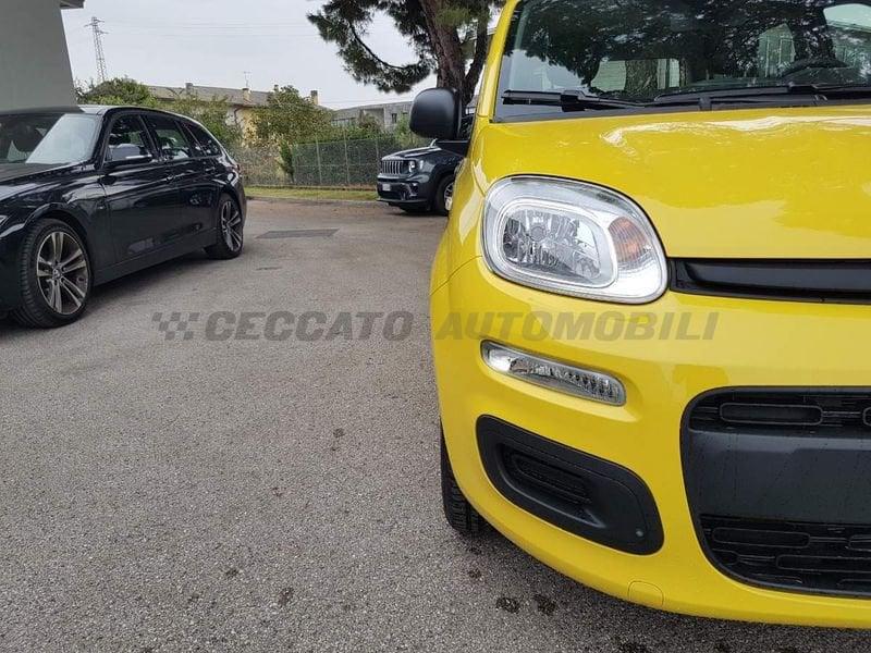 FIAT Panda Panda 1.0 70cv Hybrid Icon