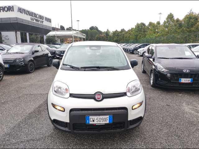 FIAT Panda 1.0 firefly hybrid s&s 70cv 5p.ti