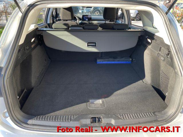 FORD Focus 1.5 EcoBlue 120 CV SW Business Iva Esposta