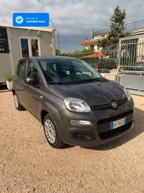 FIAT PANDA 1.2cc 69cv Gpl casa madre