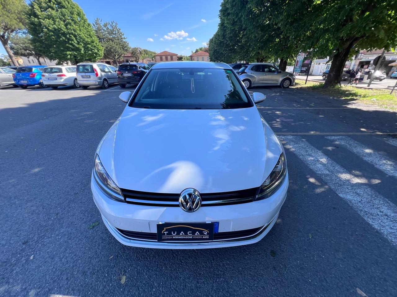 Volkswagen Golf VW Golf 1.6 TDI BlueMotion #10851