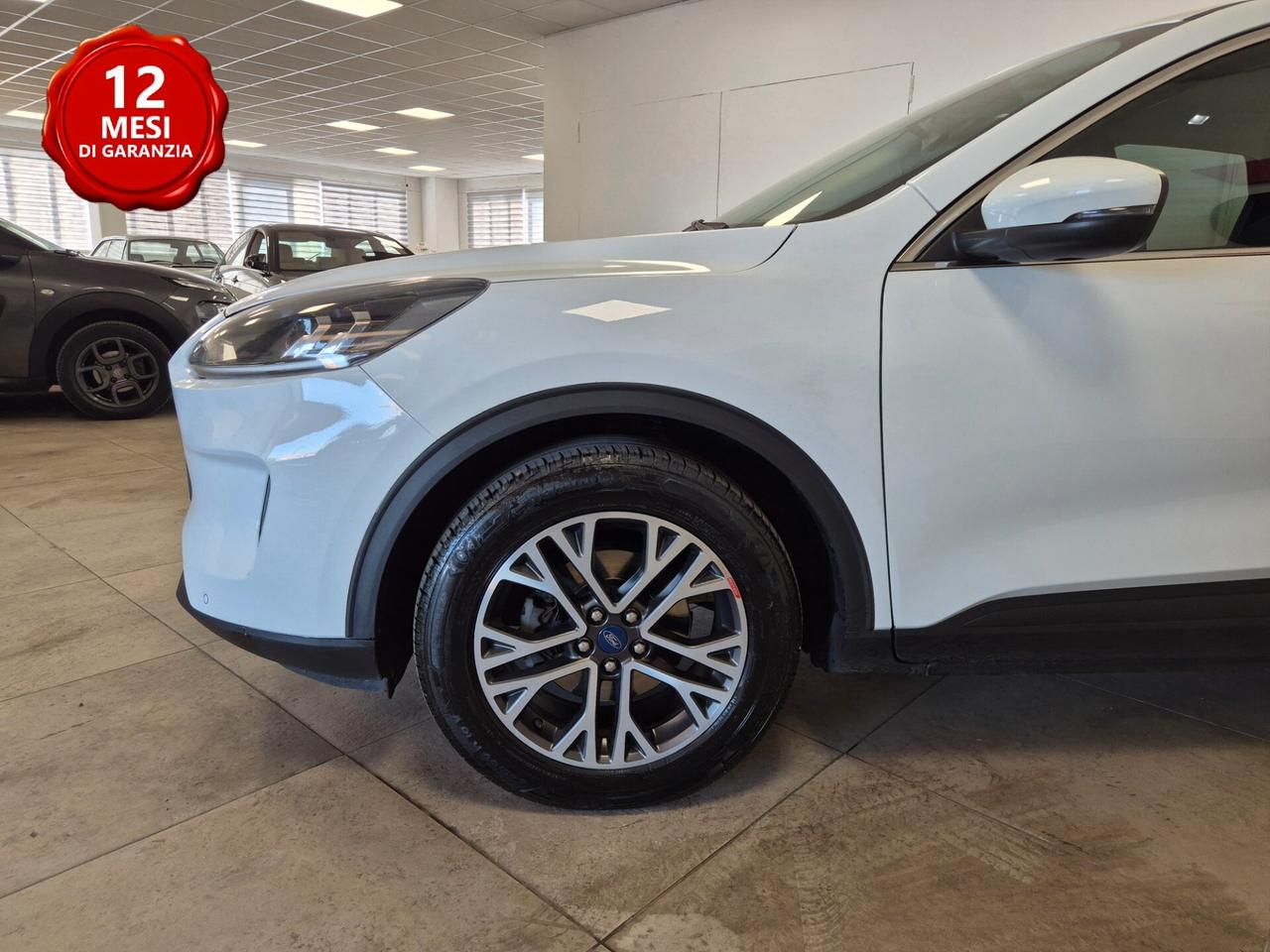 Ford Kuga 1.5 EcoBlue 120 CV 2WD Titanium