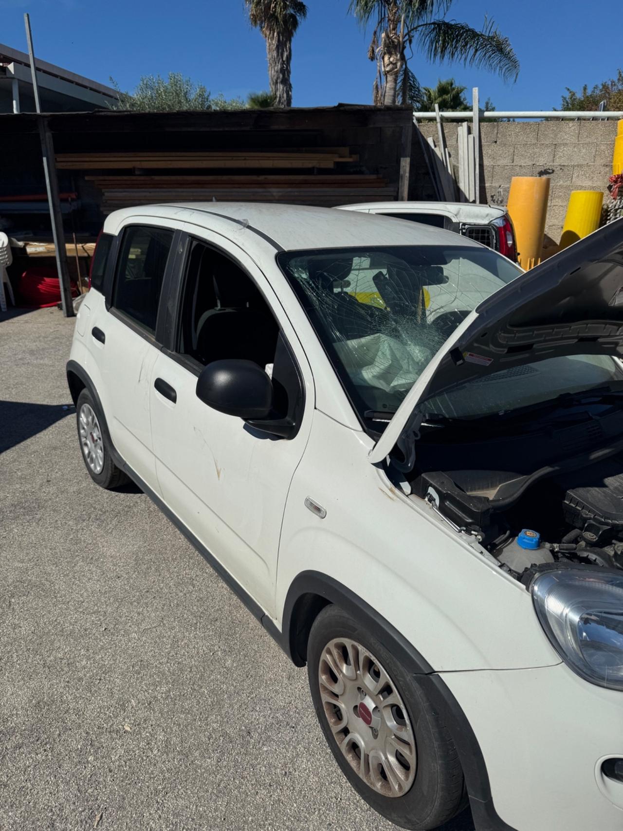 Fiat Panda 1.0 Hybrid 12/2023 incidentata sinistrata