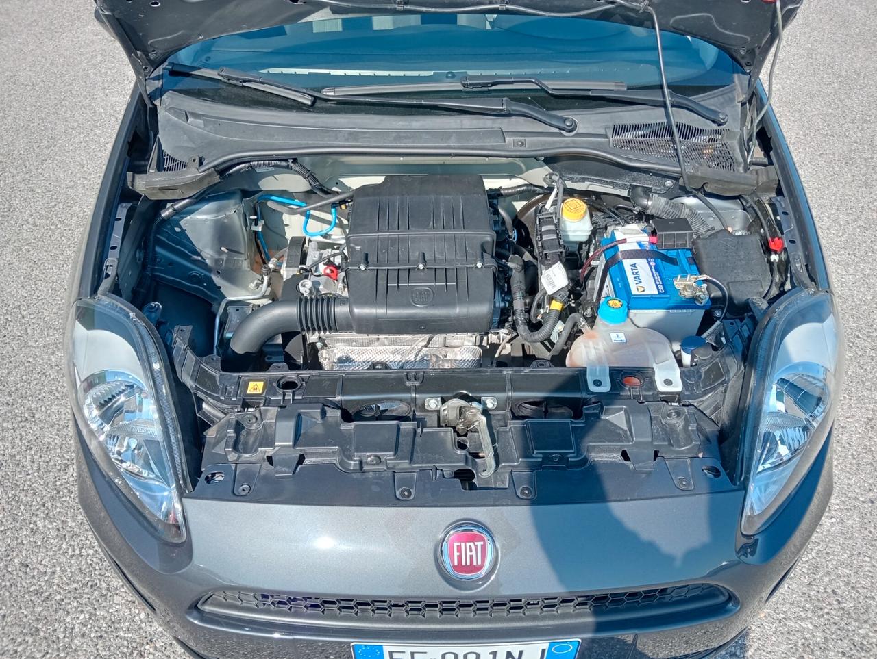 Fiat Punto 1.2 69CV 5p. UNIPROPRIETARIO