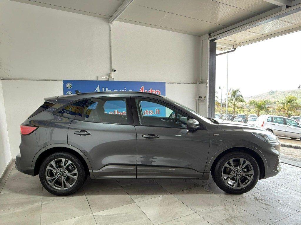 Ford Kuga 2.0 EcoBlue Hybrid 150 CV 2WD ST-Line