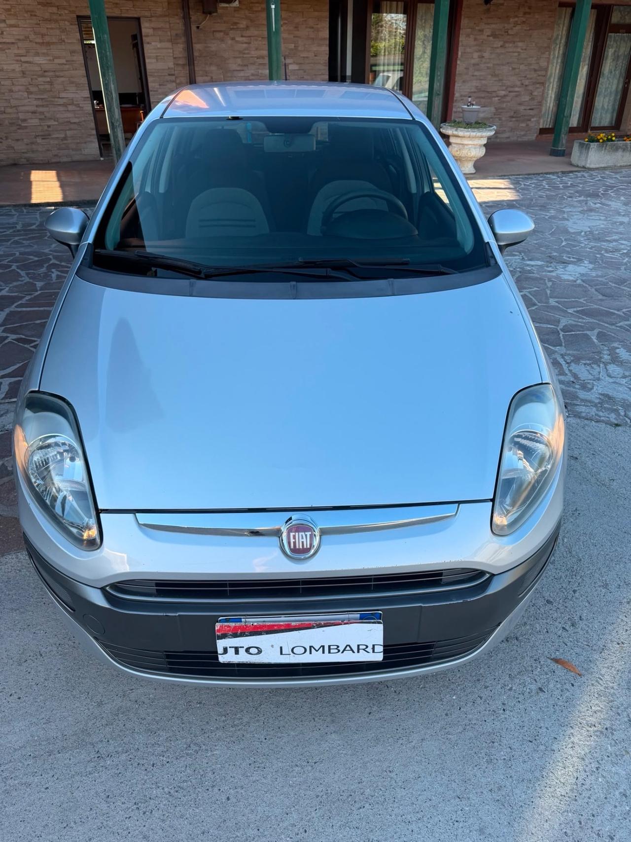 Fiat Punto 1.2 5 porte dynamic neopatentati