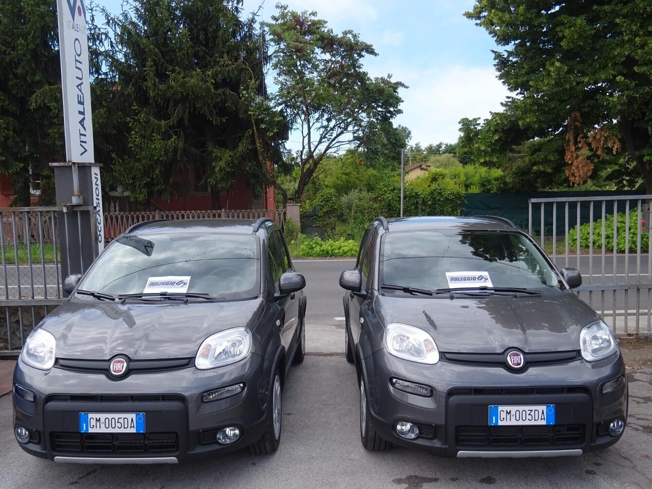 Fiat Panda CityCross 1.0 S&S Hybrid NOLEGGIAMI