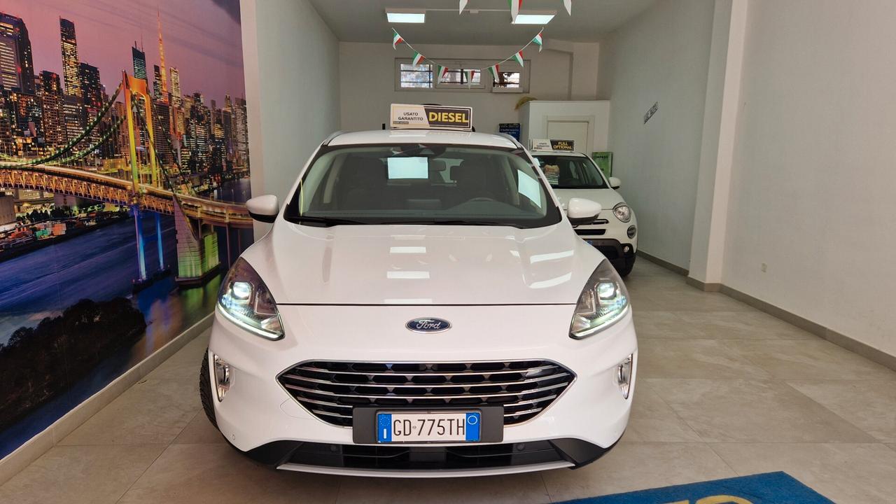 Ford Kuga 1.5 EcoBlue 120 CV aut. 2WD Titanium Business