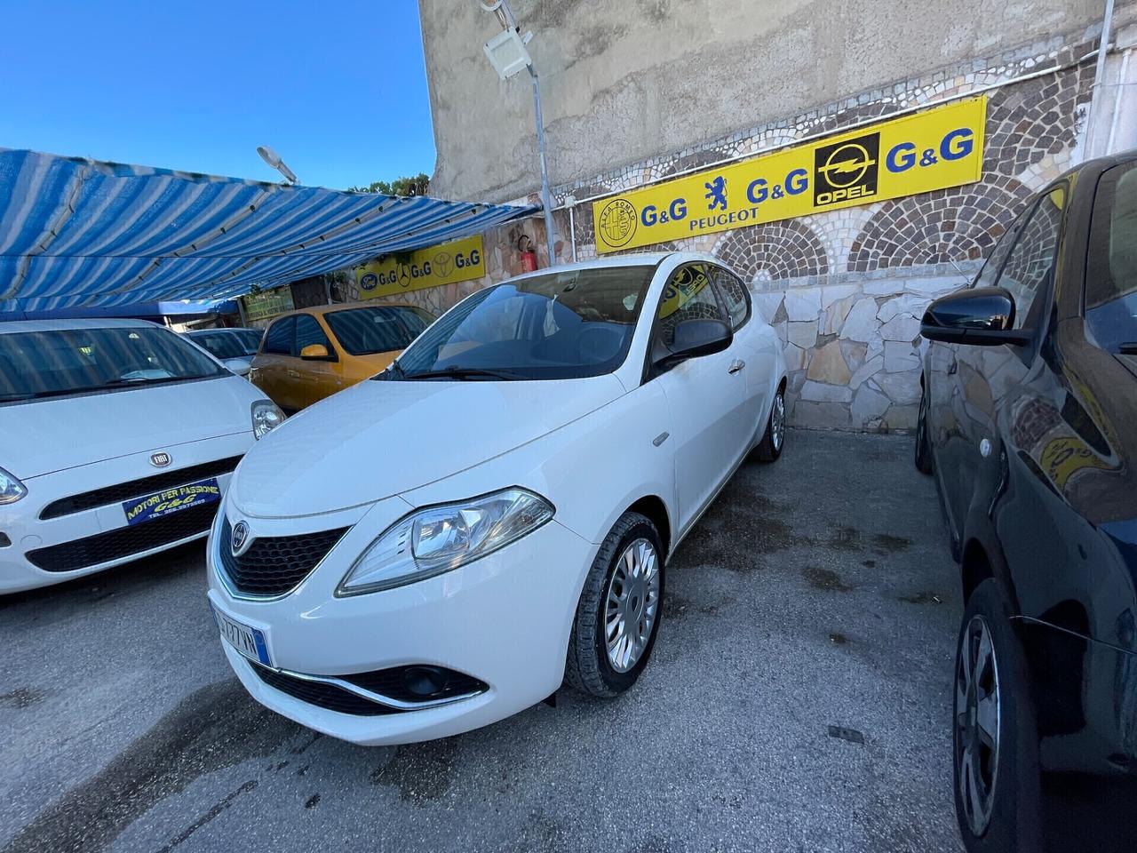 Lancia Ypsilon 1.2 69 CV 5 porte Gold
