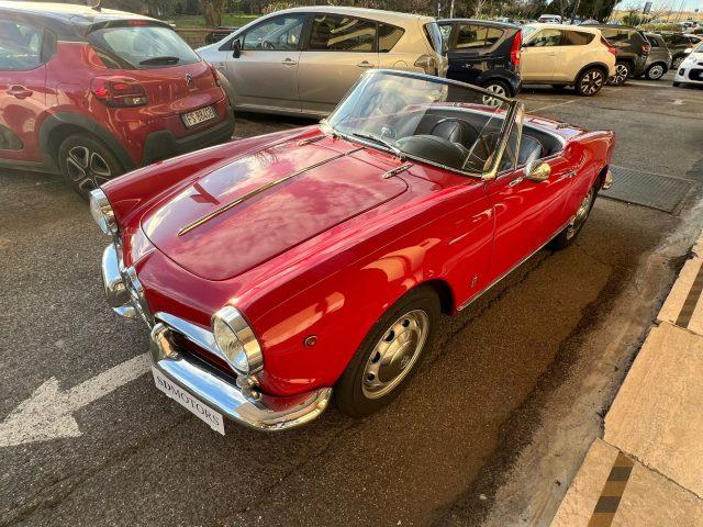 ALFA ROMEO Giulietta Spider 1959