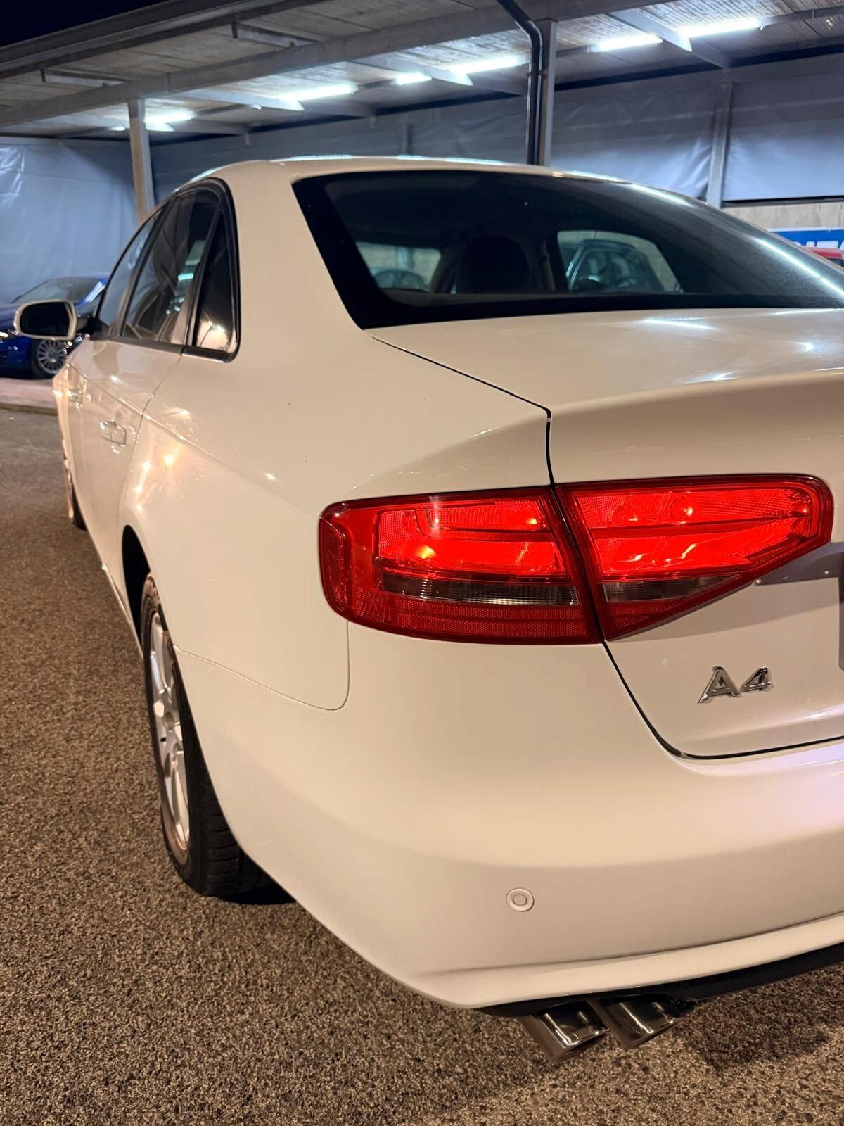 Audi A4 2.0 TDI 177 CV mult. BUSINESS PLUS