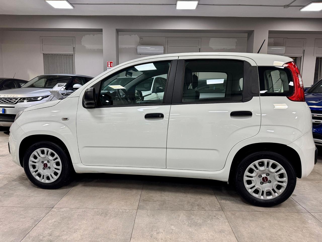 Fiat Panda 1.2 69cv EasyPower Easy 11/2020
