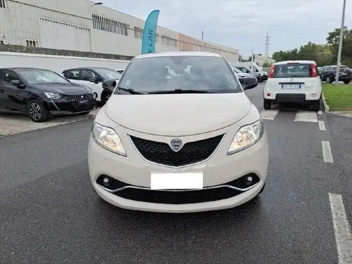 Lancia Ypsilon 1.3 MJT 16V 95 CV 5 porte S&S Platinum