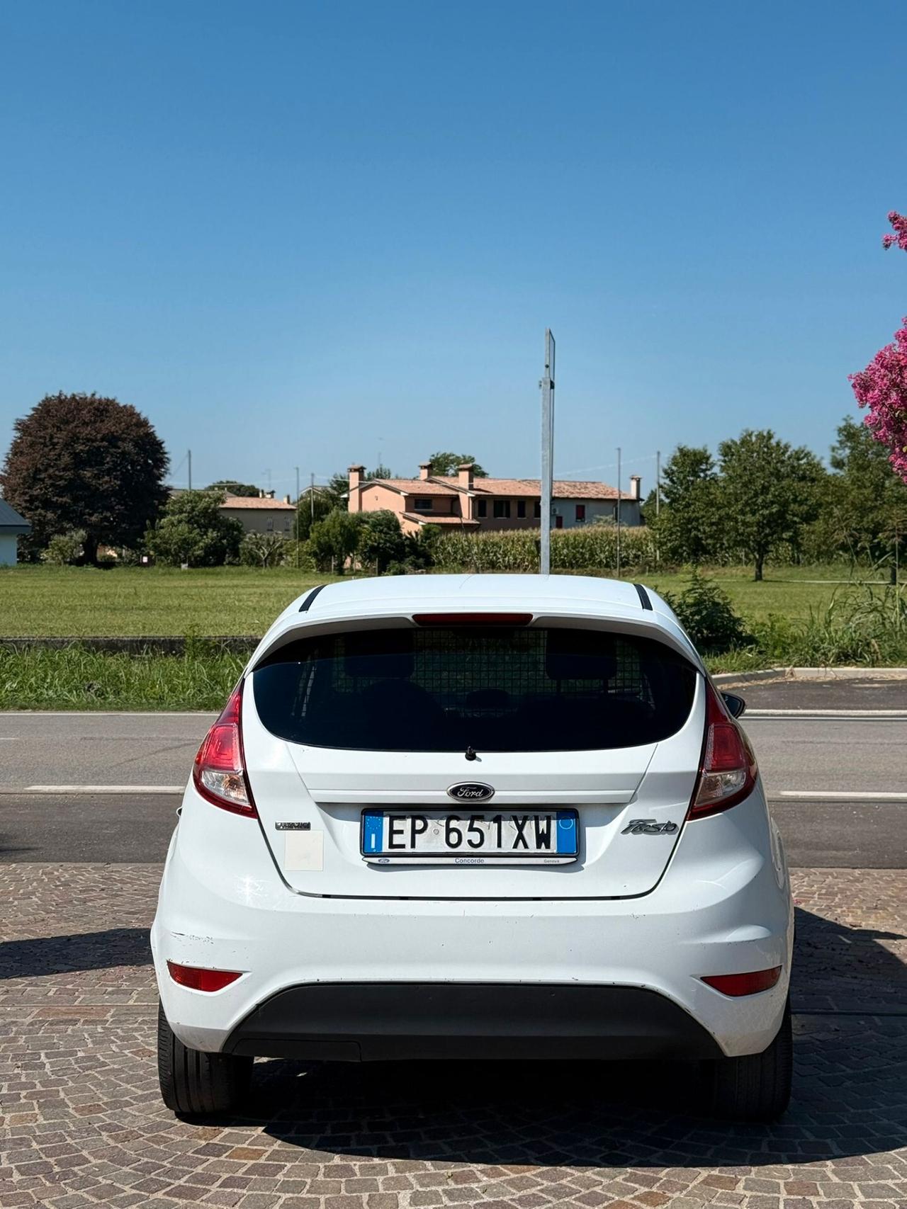 Ford Fiesta 1.5 TDCi 75CV 3 porte Van Entry