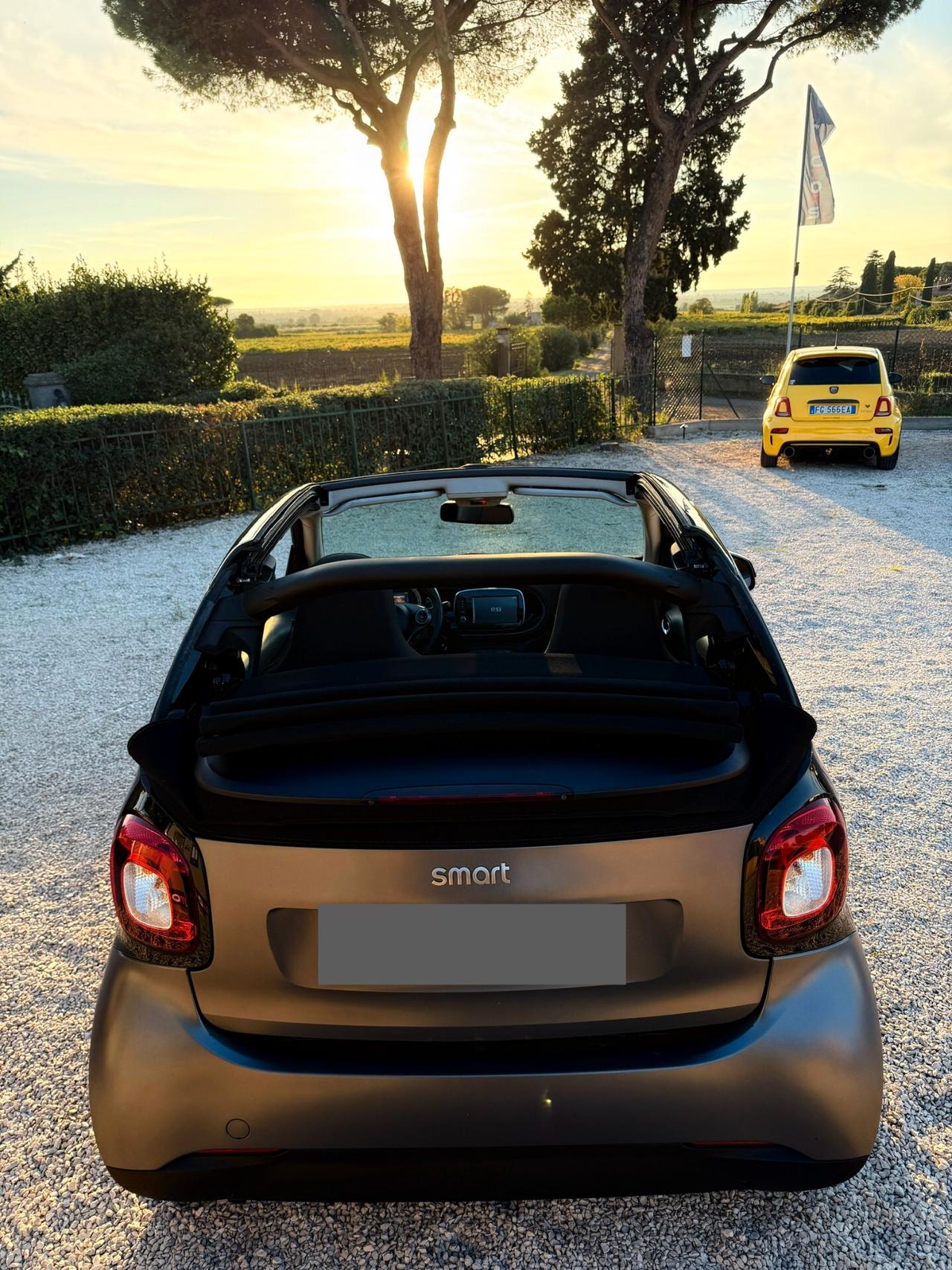 Smart ForTwo 90 0.9 T twinamic cabrio Perfect