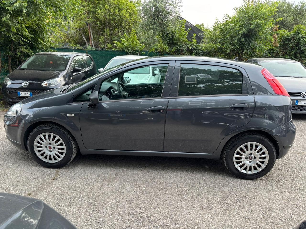 Fiat Punto 1.2 8V 5 porte Lounge OK Neopatentati