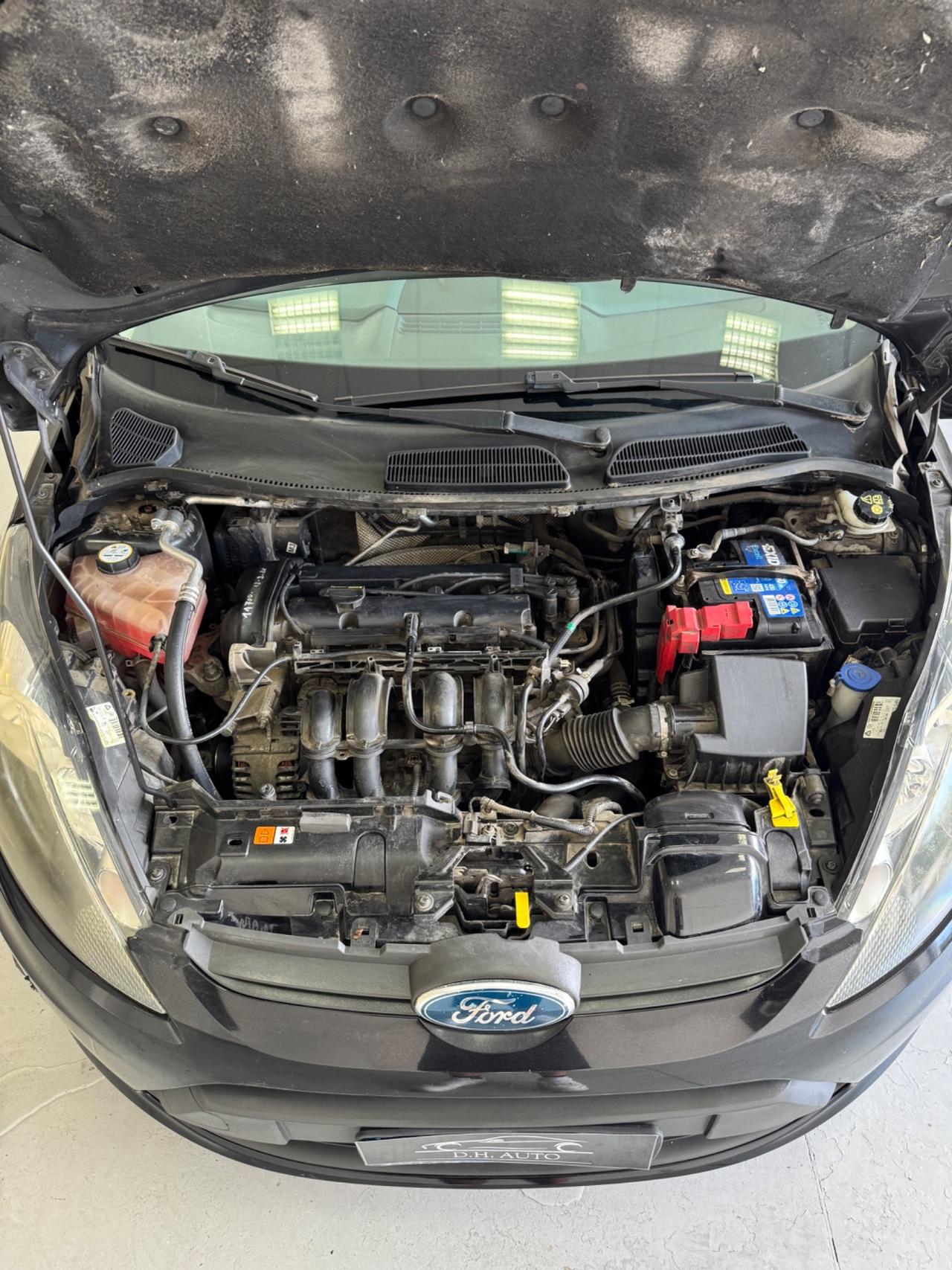 Ford Fiesta 1.2 82 CV 5 porte Titanium