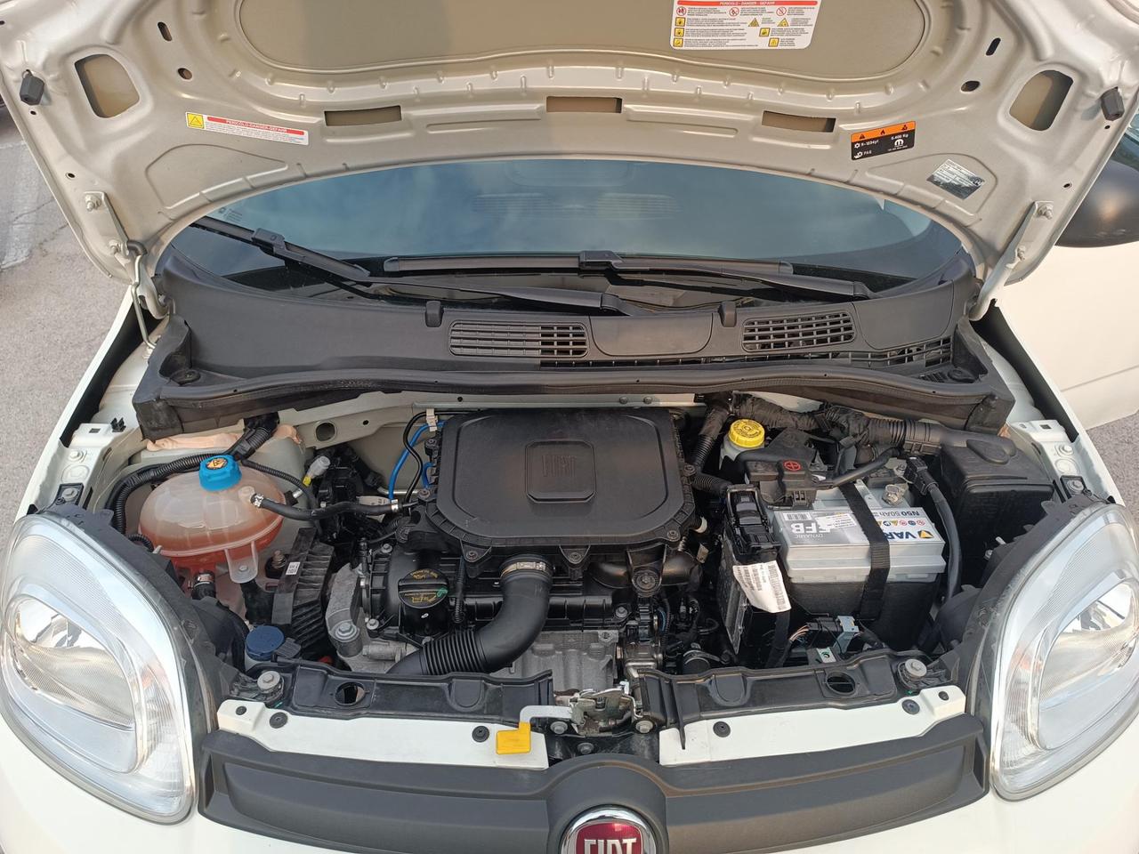 Fiat Panda 1.0 firefly hybrid s&s 70cv 5p.ti