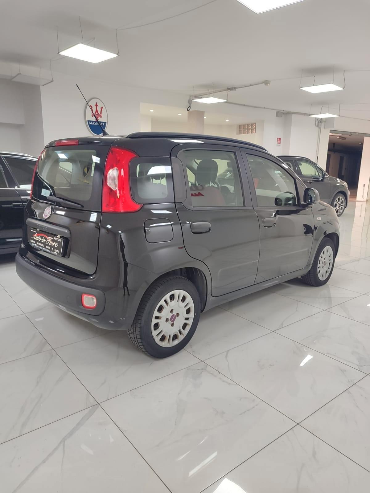 FIAT PANDA 1.2 BENZINA USATO GARANTITO