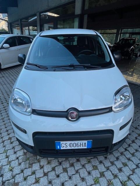 Fiat Panda 1.0 FireFly S&S Hybrid 2024