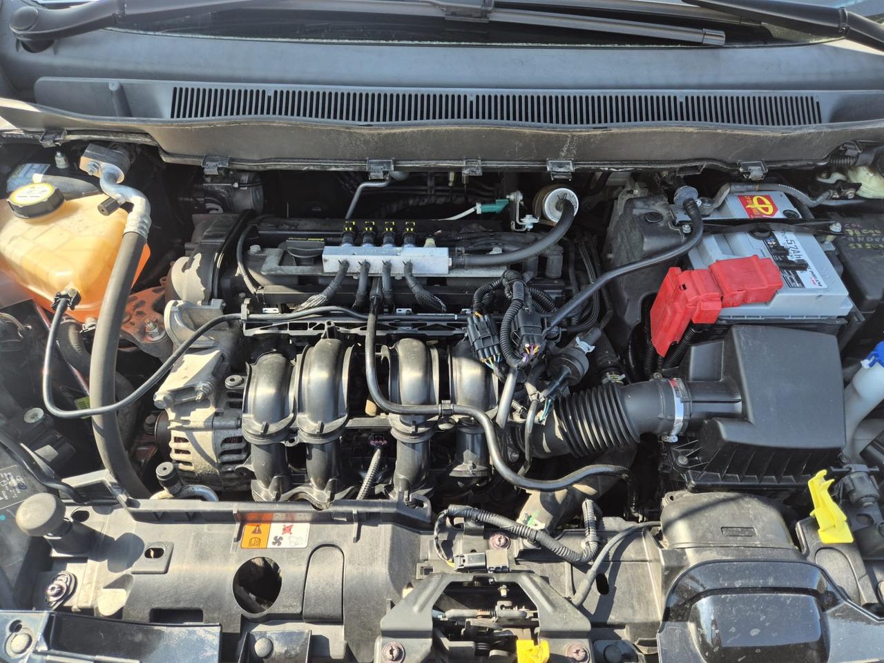 Ford B-Max 1.4 90 CV GPL Titanium